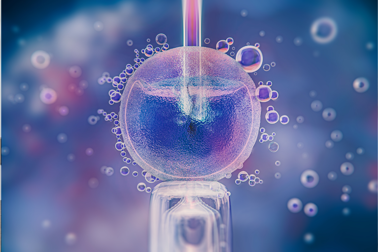 Embryo Biopsy