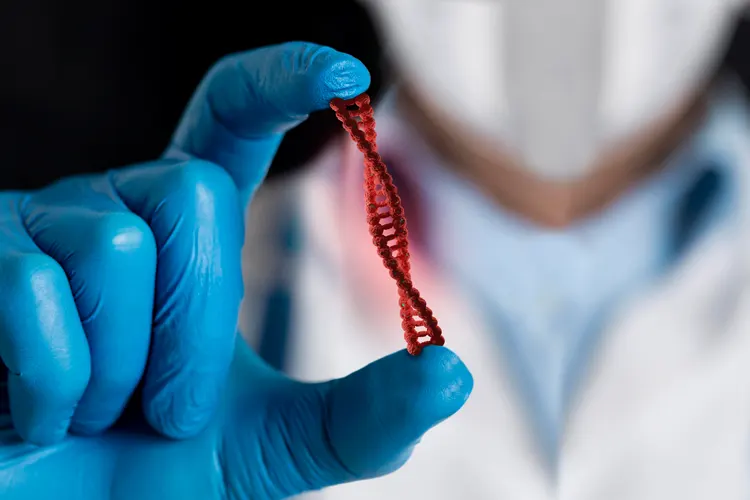 Stem cell